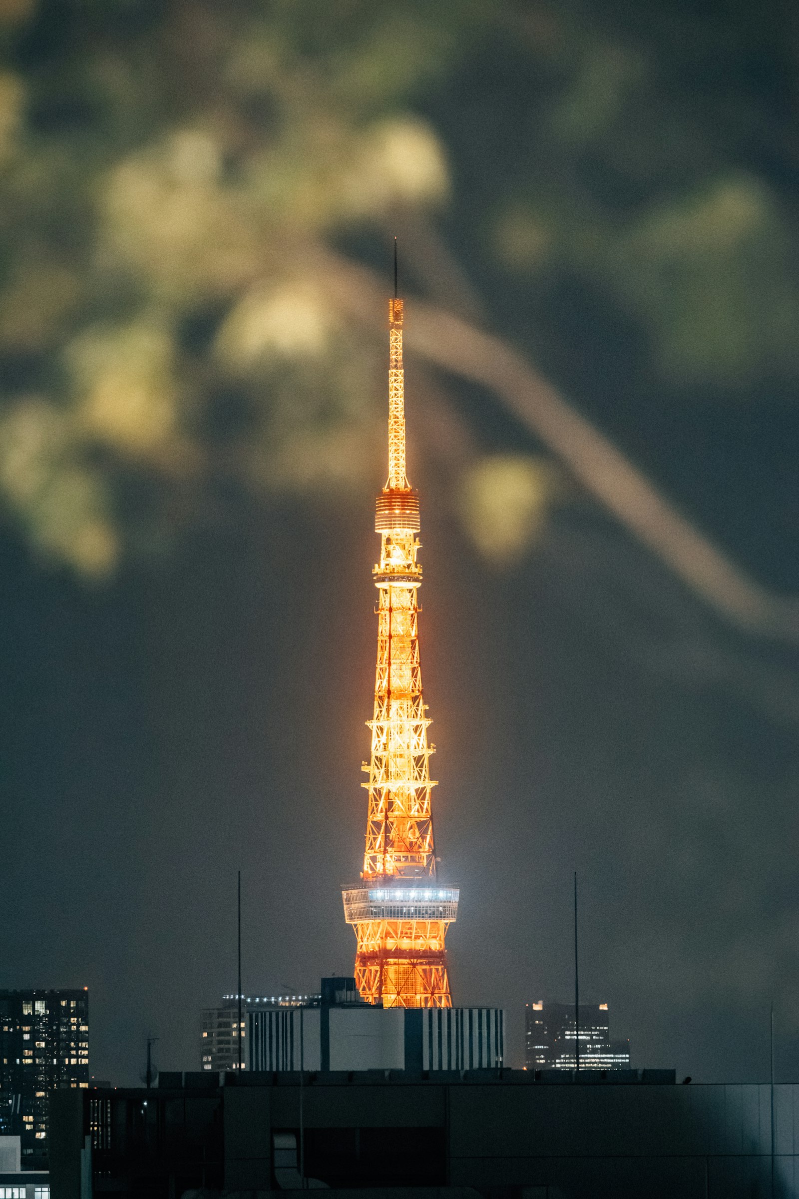 東京の夜景